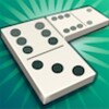 Play Domino icon