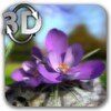 Nature Live icon