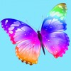 Butterfly Color By Number icon