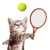 Biểu tượng Cat Meow Tennis: Sport Battle