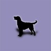 Icono de Dog Breeds