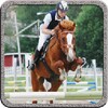 Horse Jump Show icon