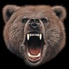 Bears Wallpapers icon