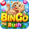 Bingo Rush icon