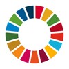 Икона Global Goals BusinessNavigator