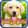 Dog Puzzles icon
