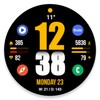 Icono de WFP 244 Digital watch face