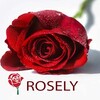 Ícone de Rosely