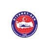 Икона DiyanetSenDK