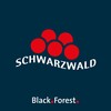 Icona di Schwarzwald