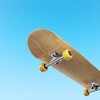 Flip Skater icon