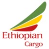 Ethiopian Cargo icon