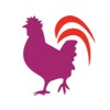 Ideal Chicken icon