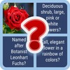FloraQuest: Flower Trivia icon