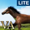 أيقونة VA Horse Wallpaper LITE