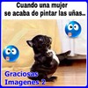 graciosas imagenes 2 icon