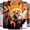 Icono de Fox Wallpaper