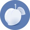 Necta Launcher icon