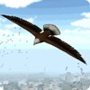 Eagle Bird City Simulator 2015 icon