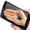 Spider On Hand Prank icon