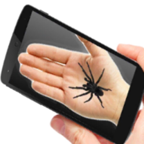 Spider On Hand Prank for Android - Download the APK from Uptodown