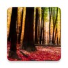 Herbst-Landschaft Live Wallpaper icon