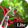 Jungle of Flowers 3D Lite icon