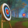 Archery Target Jungle Shooting icon