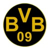 Borussia Dortmund BVB App icon