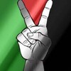 خلفيات فلسطين HD icon