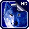 Wolf Live Wallpaper HD icon