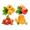 أيقونة Learn Fruits in English