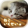 Cat Simulation Game 3D icon