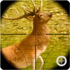 Deer Hunter icon