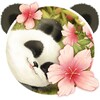 Cute Baby Panda Theme icon