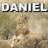 Profecias de Daniel icon