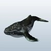 Whale simgesi