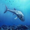 Leedsichthys Simulator icon