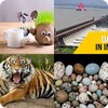 101 Pics: Trivia Quiz 图标