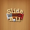 Slide Unblock Ball Puzzle Game icon