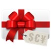Gift Card Balance (balance che icon