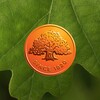 Swedbank 图标