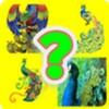 Puzzle Quiz 3D icon