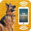 Dog Translator icon