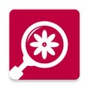 Find by Image (Search by Photo) icon