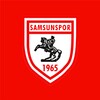 Samsunspor icon