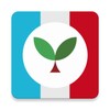 Icono de Seedlang