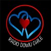 Radio Down de Chile icon