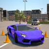 Driving School 3D Parking icon