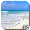 Paradise Video Live Wallpaper icon